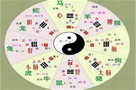 維五行|维字的五行属性